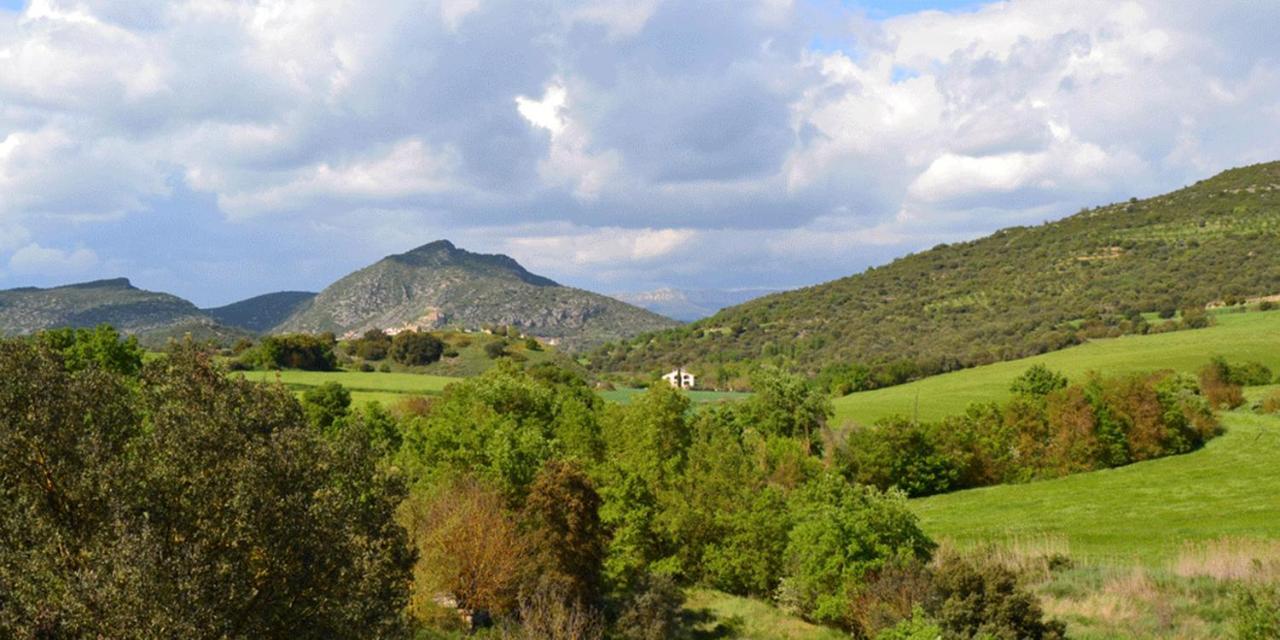 Frühstückspension Masia Moli De Tartareu